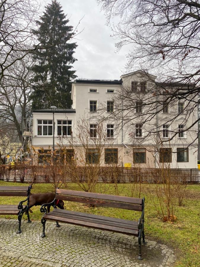 Cienista 7 Apartments Lądek-Zdrój Exteriör bild