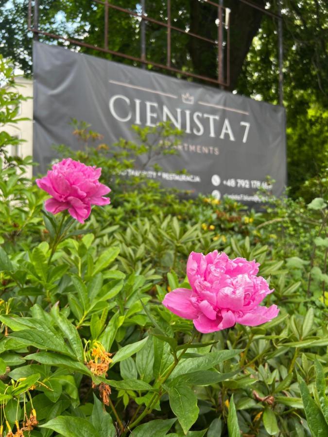 Cienista 7 Apartments Lądek-Zdrój Exteriör bild