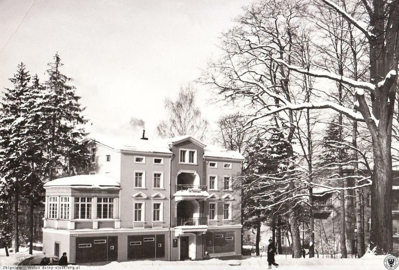 Cienista 7 Apartments Lądek-Zdrój Exteriör bild